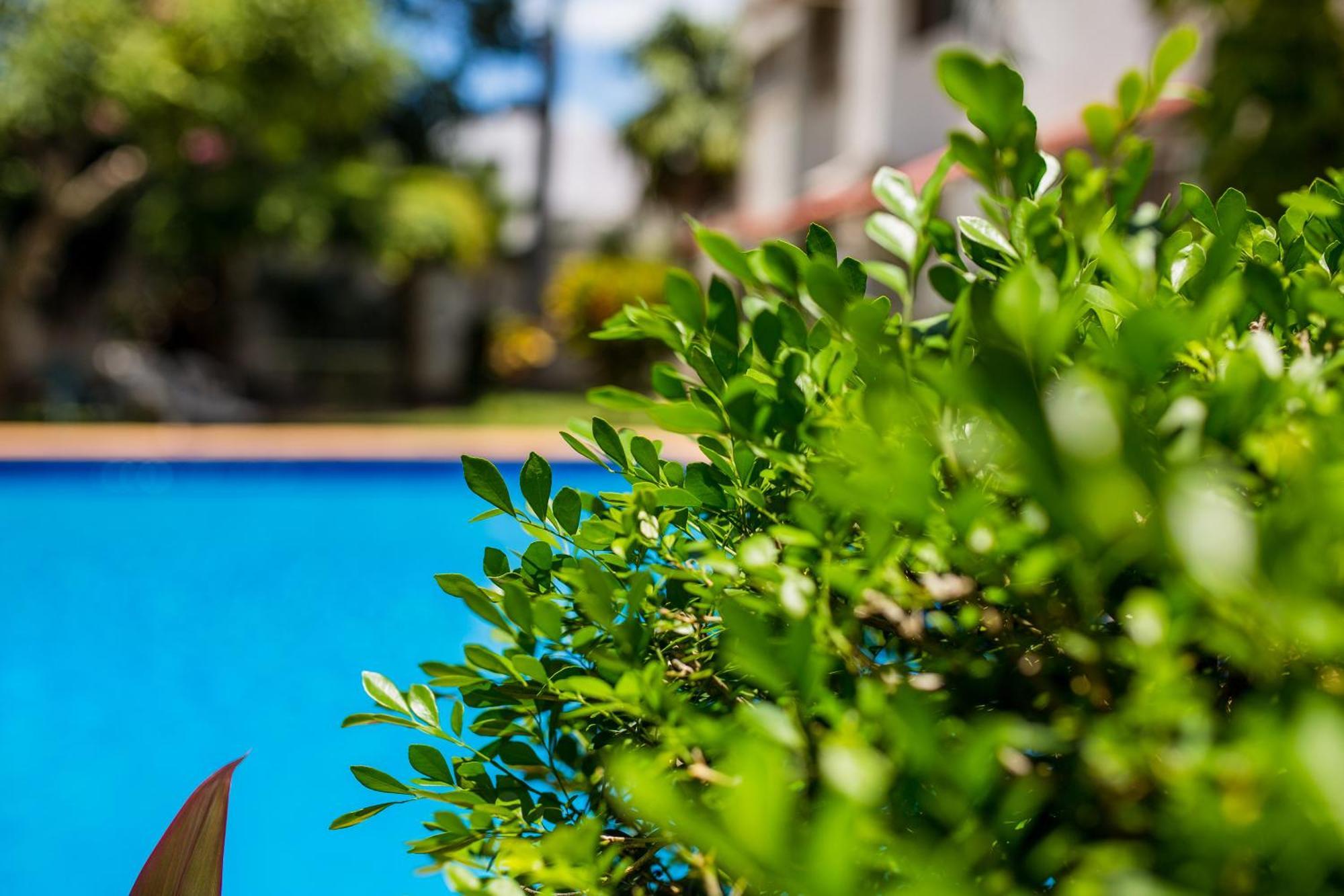 Casa Blanca Boutique & Organic Bed & Breakfast Cancún Exterior foto